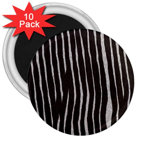 Zebra 3  Magnet (10 pack) from ArtsNow.com Front