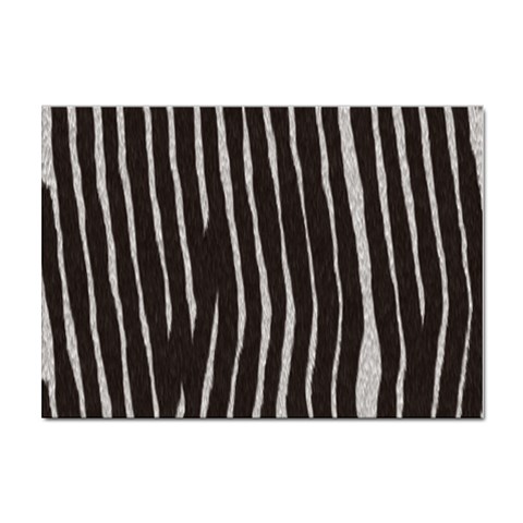 Zebra Sticker A4 (10 pack) from ArtsNow.com Front