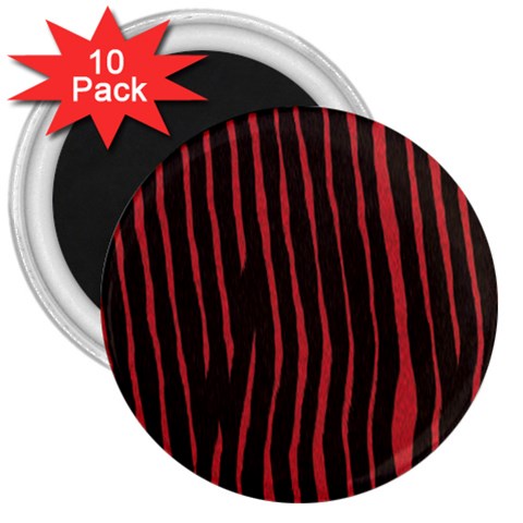 Zebra 3  Magnet (10 pack) from ArtsNow.com Front