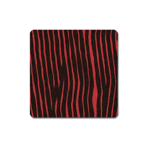 Zebra Magnet (Square) from ArtsNow.com Front