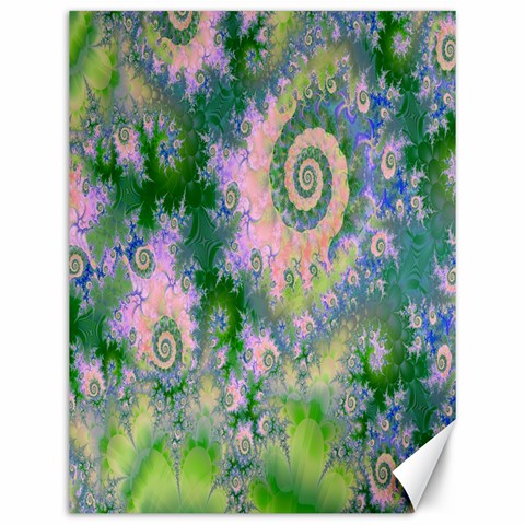 Rose Apple Green Dreams, Abstract Water Garden Canvas 12  x 16  (Unframed) from ArtsNow.com 11.86 x15.41  Canvas - 1