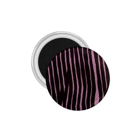 Zebra 1.75  Magnet from ArtsNow.com Front