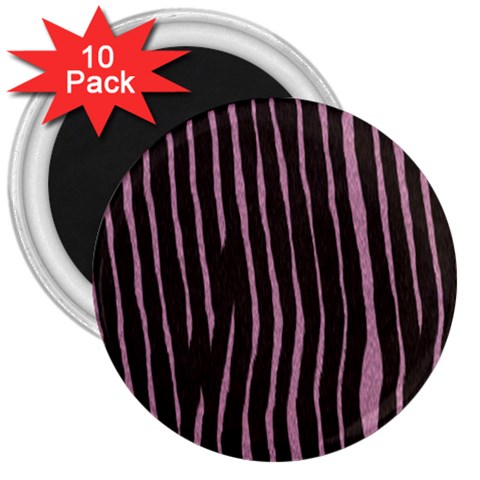 Zebra 3  Magnet (10 pack) from ArtsNow.com Front