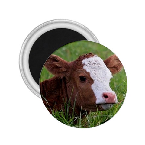 Cow Calf 2.25  Magnet from ArtsNow.com Front