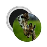 Giraffe 2.25  Magnet