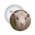 Sheep Lamb 2.25  Button