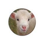 Sheep Lamb Rubber Round Coaster (4 pack)