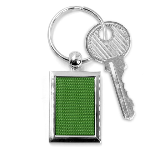 Snake Key Chain (Rectangle) from ArtsNow.com Front