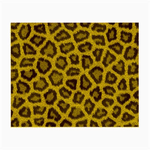 Leopard Glasses Cloth from ArtsNow.com Front