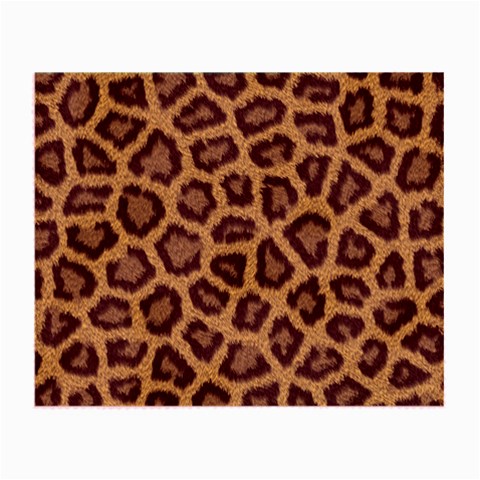 Leopard Glasses Cloth from ArtsNow.com Front