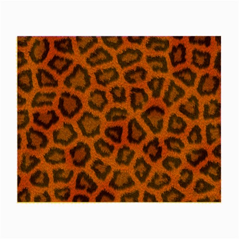 Leopard Glasses Cloth from ArtsNow.com Front