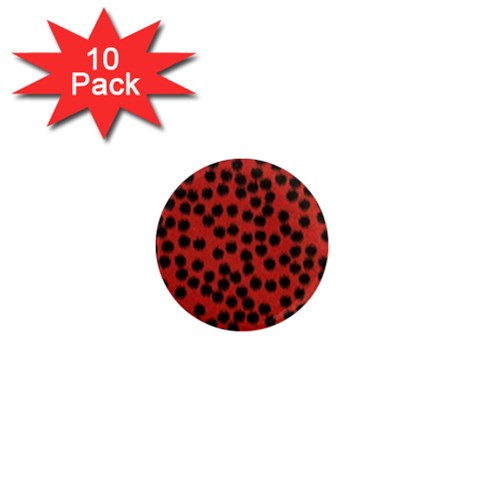 Cheetah 1  Mini Magnet (10 pack)  from ArtsNow.com Front