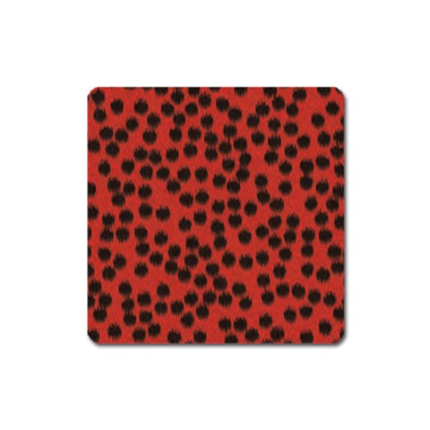 Cheetah Magnet (Square) from ArtsNow.com Front