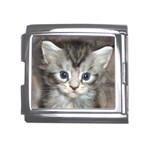 Pictures_of_Kittens_Cats-Kitten_Head Mega Link Italian Charm (18mm)