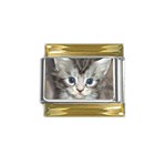 Pictures_of_Kittens_Cats-Kitten_Head Gold Trim Italian Charm (9mm)