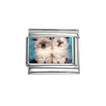 cats-wallpaper-thumb Italian Charm (9mm)