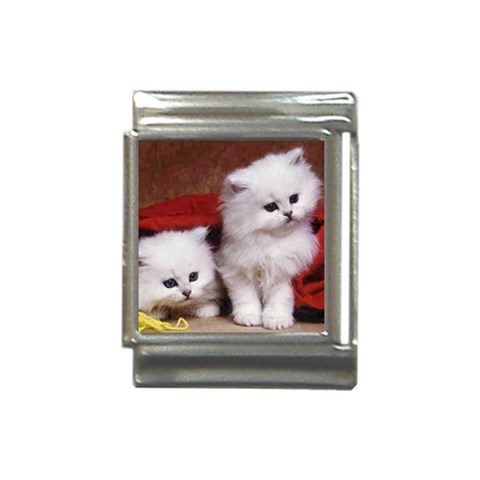 catsRT Italian Charm (13mm) from ArtsNow.com Front