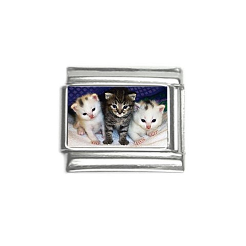 cats_wideweb__470x312,0 Italian Charm (9mm) from ArtsNow.com Front