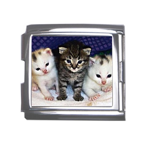 cats_wideweb__470x312,0 Mega Link Italian Charm (18mm) from ArtsNow.com Front