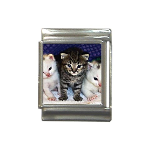 cats_wideweb__470x312,0 Italian Charm (13mm) from ArtsNow.com Front