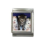 cats_wideweb__470x312,0 Italian Charm (13mm)