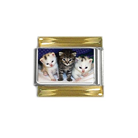 cats_wideweb__470x312,0 Gold Trim Italian Charm (9mm) from ArtsNow.com Front