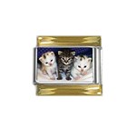 cats_wideweb__470x312,0 Gold Trim Italian Charm (9mm)