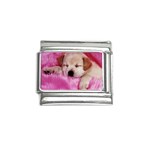 normal_wpaperanimals_dogs004800 Italian Charm (9mm)