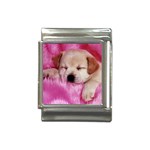 normal_wpaperanimals_dogs004800 Italian Charm (13mm)