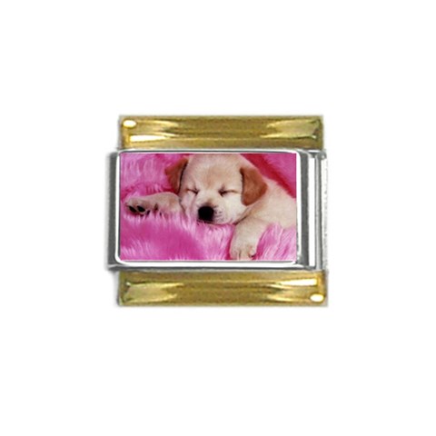 normal_wpaperanimals_dogs004800 Gold Trim Italian Charm (9mm) from ArtsNow.com Front