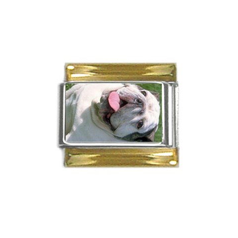 dogmain Gold Trim Italian Charm (9mm) from ArtsNow.com Front