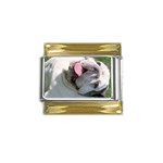 dogmain Gold Trim Italian Charm (9mm)