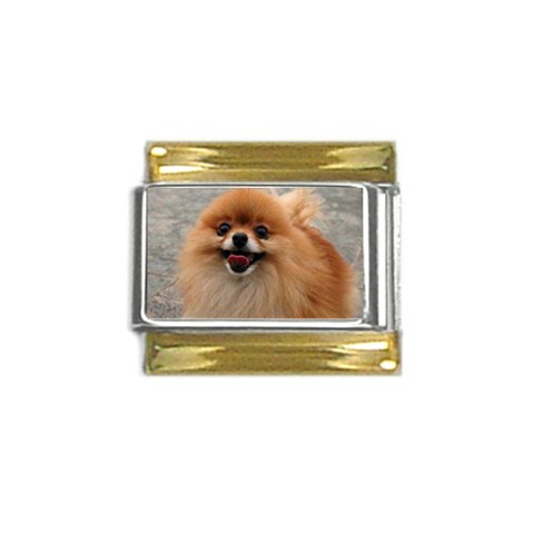 cutepuppy6 Gold Trim Italian Charm (9mm) from ArtsNow.com Front