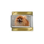 cutepuppy6 Gold Trim Italian Charm (9mm)