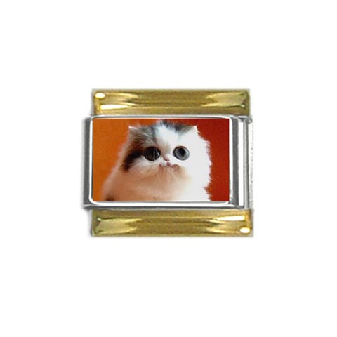 cute_cat Gold Trim Italian Charm (9mm) from ArtsNow.com Front