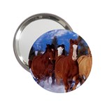 Horse Pony Colt 2.25  Handbag Mirror