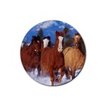 Horse Pony Colt Rubber Round Coaster (4 pack)