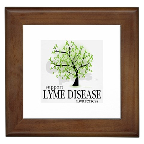 Lyme Tree Framed Tile from ArtsNow.com Front