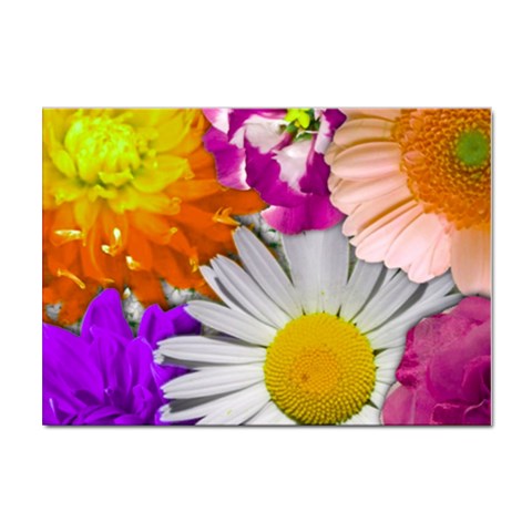 Lovely Flowers,purple A4 Sticker 10 Pack from ArtsNow.com Front