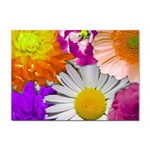 Lovely Flowers,purple A4 Sticker 10 Pack