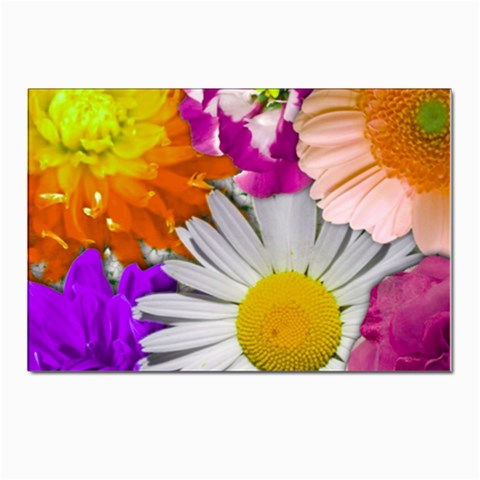 Lovely Flowers,purple Postcard 4 x 6  (10 Pack) from ArtsNow.com Front