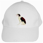 Afghan Hound White Cap