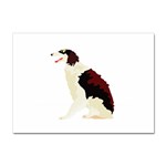 Afghan Hound Sticker A4 (10 pack)