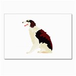 Afghan Hound Postcard 4 x 6  (Pkg of 10)