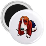 Basset Hound 3  Magnet