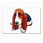 Basset Hound Postcard 4  x 6 