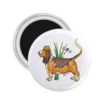 Basset Hound 2.25  Magnet