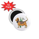 Basset Hound 1.75  Magnet (10 pack) 