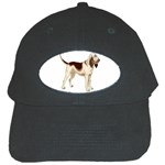 Bloodhound Black Cap