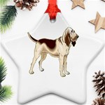 Bloodhound Ornament (Star)